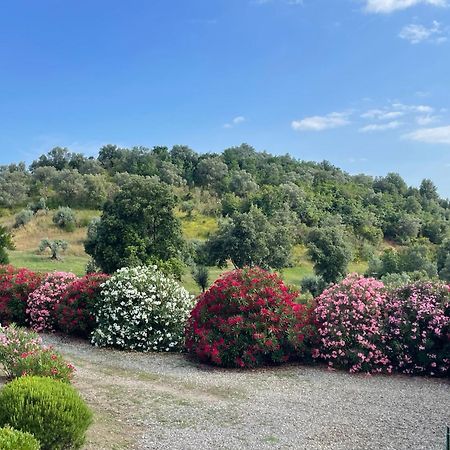 Tenuta Montemassi Podere Montauzzo ภายนอก รูปภาพ