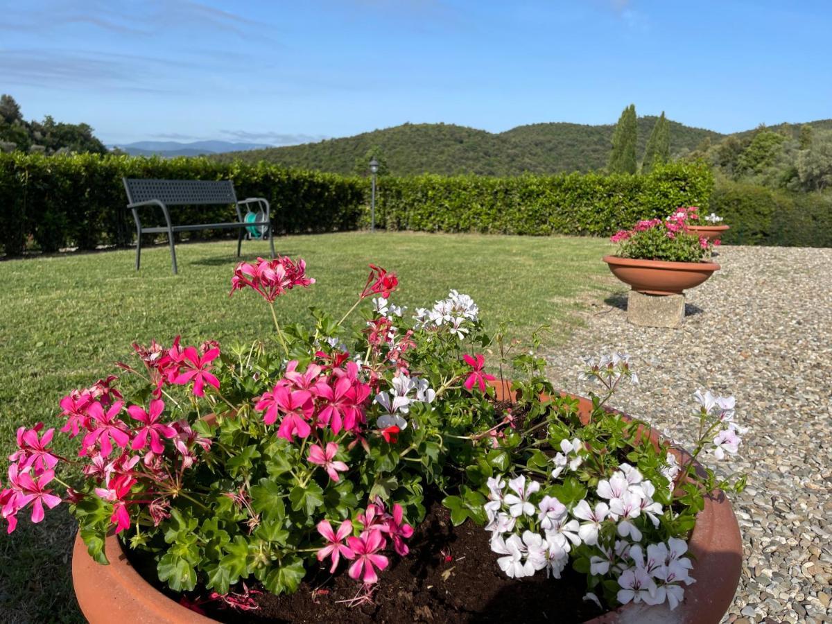Tenuta Montemassi Podere Montauzzo ภายนอก รูปภาพ