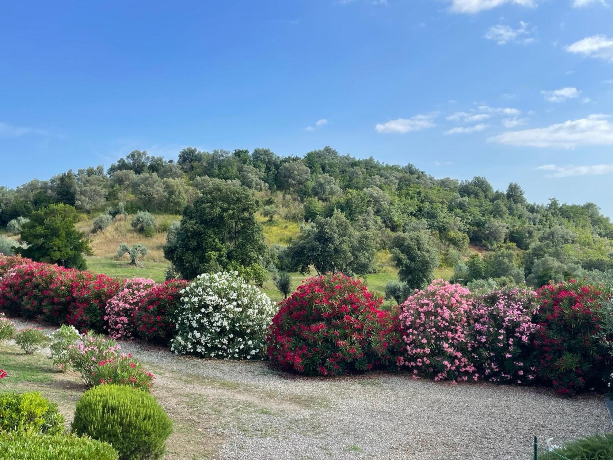 Tenuta Montemassi Podere Montauzzo ภายนอก รูปภาพ